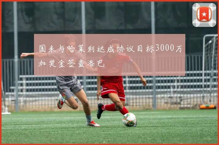国米与哈莱利达成协议目标3000万加奖金签查洛巴