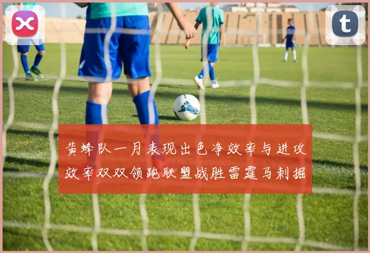 黄蜂队一月表现出色净效率与进攻效率双双领跑联盟战胜雷霆马刺掘金