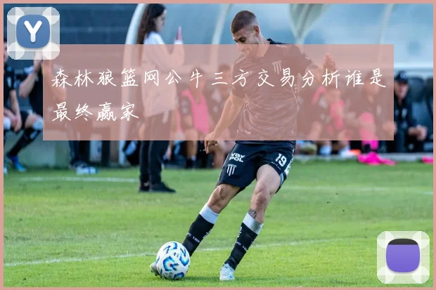 森林狼篮网公牛三方交易分析谁是最终赢家