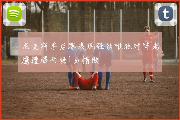 尼克斯季后赛表现强劲唯独对阵老鹰遭遇两场1分惜败