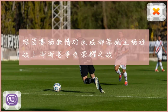 绿茵赛场激情对决成都蓉城主场迎战上海海港争夺荣耀之战